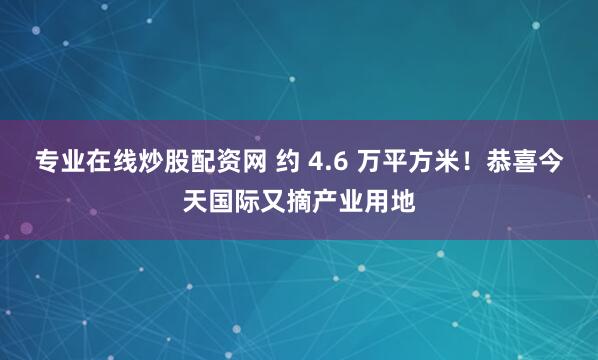 专业在线炒股配资网 约 4.6 万平方米！恭喜今天国际又摘产业用地